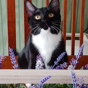 Meet your Posher, Nancy